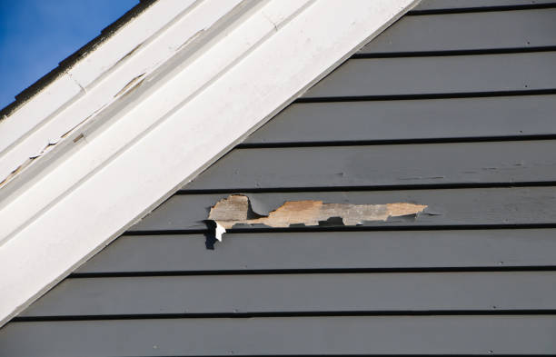 Best Attic Cleanout  in Nellysford, VA